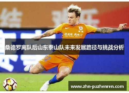 桑德罗离队后山东泰山队未来发展路径与挑战分析