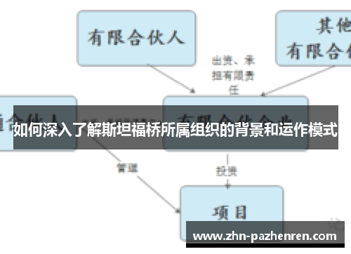 如何深入了解斯坦福桥所属组织的背景和运作模式
