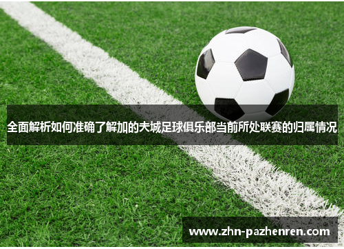 全面解析如何准确了解加的夫城足球俱乐部当前所处联赛的归属情况