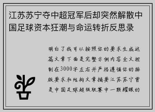 江苏苏宁夺中超冠军后却突然解散中国足球资本狂潮与命运转折反思录